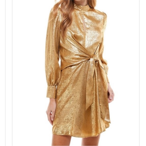 TCEC Shimmering Gold Long Sleeve Dress NWT Size Large - Picture 2 of 6
